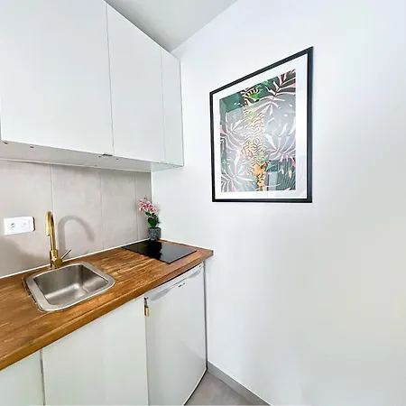 Comfortable Family Flat In Appartamento Parigi